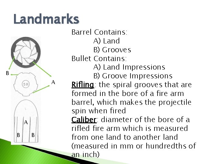 Landmarks B A A B B Barrel Contains: A) Land B) Grooves Bullet Contains: