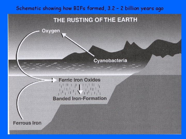 Schematic showing how BIFs formed, 3. 2 – 2 billion years ago 