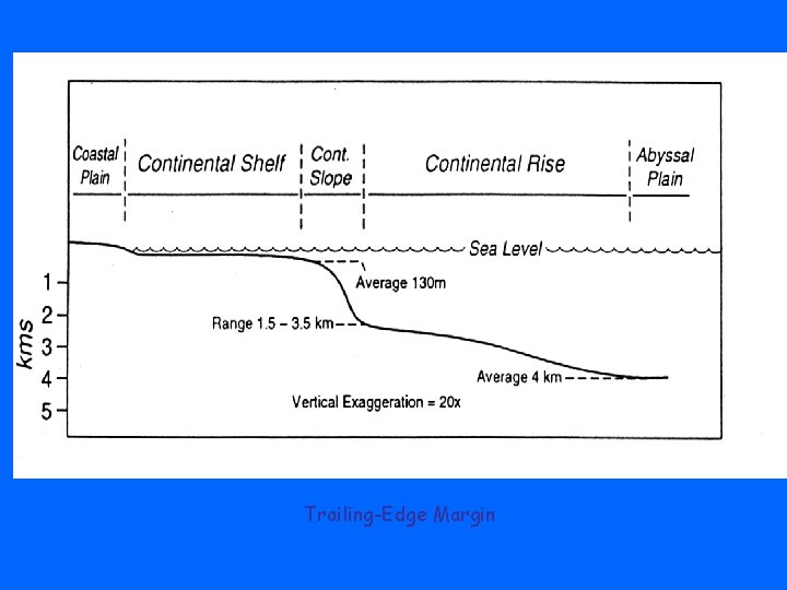 Trailing-Edge Margin 