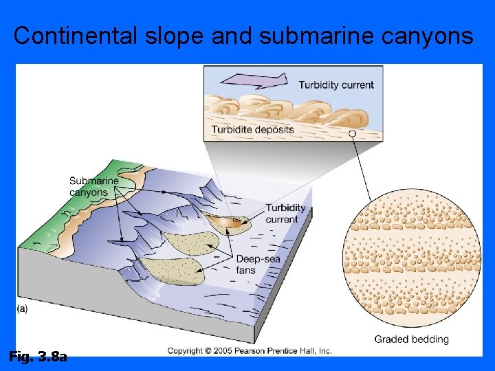 Continental slope and submarine canyons Fig. 3. 8 a 