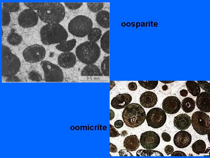 oosparite oomicrite 