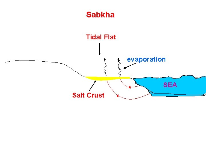 Sabkha Tidal Flat evaporation SEA Salt Crust 