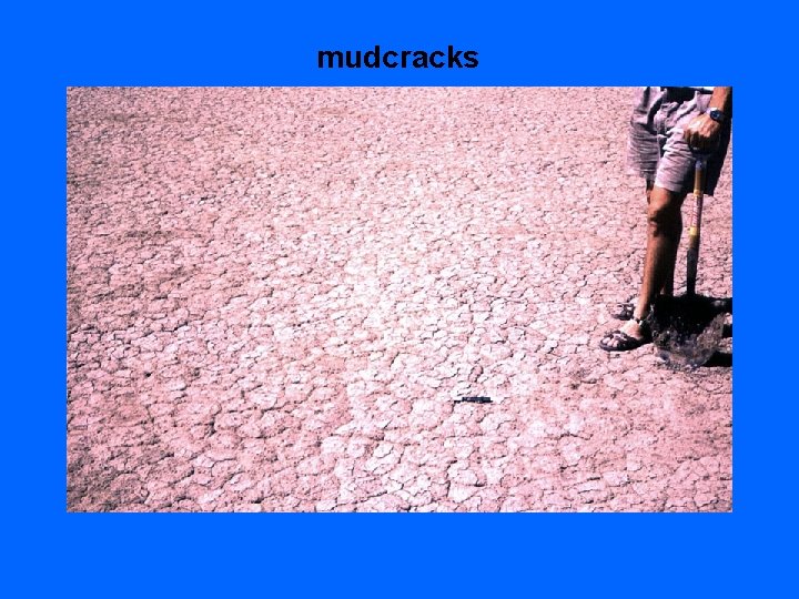 mudcracks 