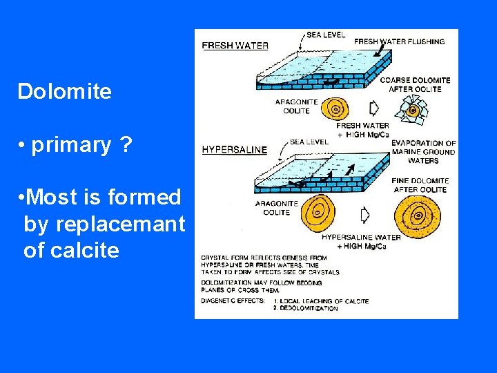 Dolomite • primary ? • Most is formed by replacemant of calcite 