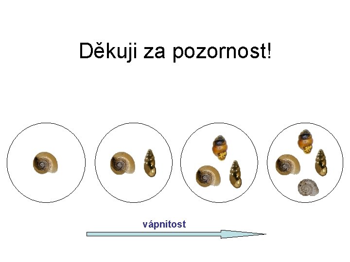 Děkuji za pozornost! vápnitost 
