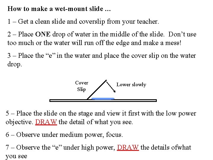 How to make a wet-mount slide … 1 – Get a clean slide and