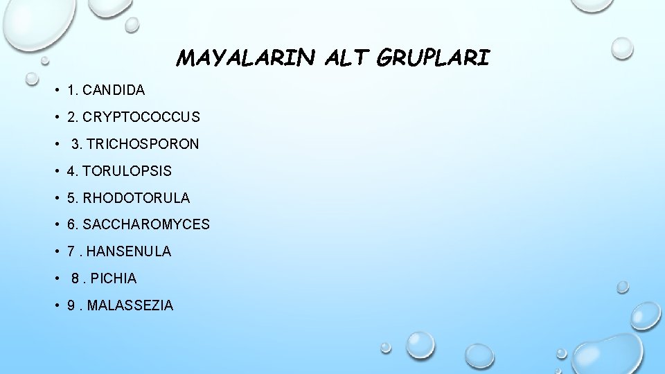 MAYALARIN ALT GRUPLARI • 1. CANDIDA • 2. CRYPTOCOCCUS • 3. TRICHOSPORON • 4.