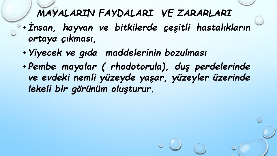 MAYALARIN FAYDALARI VE ZARARLARI • İnsan, hayvan ve bitkilerde çeşitli hastalıkların ortaya çıkması, •