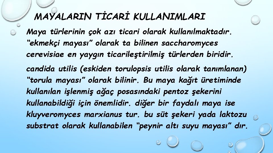 MAYALARIN TİCARİ KULLANIMLARI Maya türlerinin çok azı ticari olarak kullanılmaktadır. “ekmekçi mayası” olarak ta