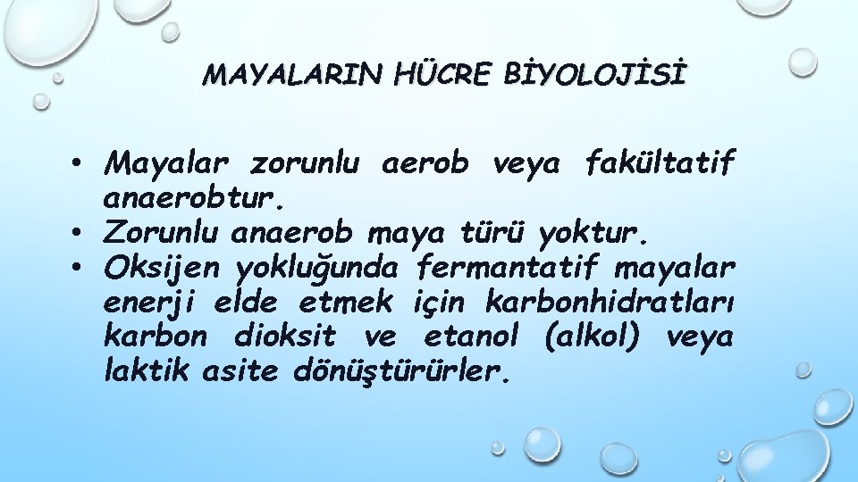 MAYALARIN HÜCRE BİYOLOJİSİ • Mayalar zorunlu aerob veya fakültatif anaerobtur. • Zorunlu anaerob maya