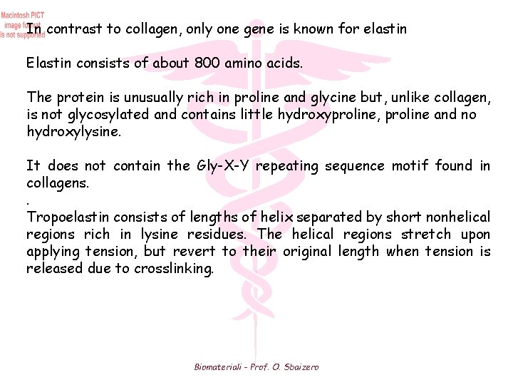 In contrast to collagen, only one gene is known for elastin Elastin consists of