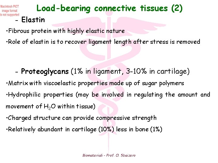 Load-bearing connective tissues (2) - Elastin • Fibrous protein with highly elastic nature •