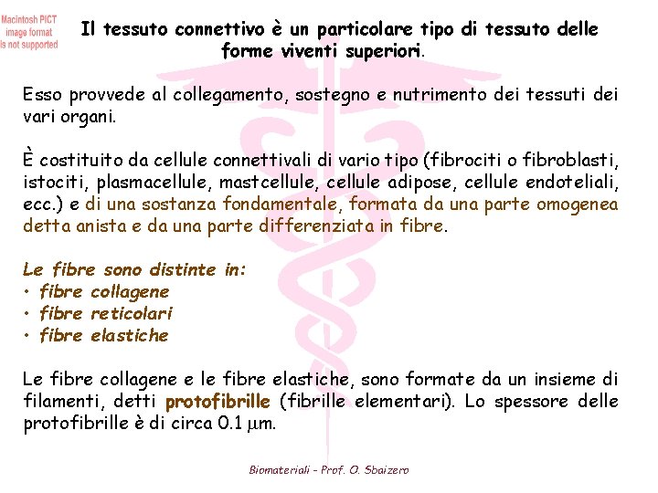 Il tessuto connettivo è un particolare tipo di tessuto delle forme viventi superiori. Esso