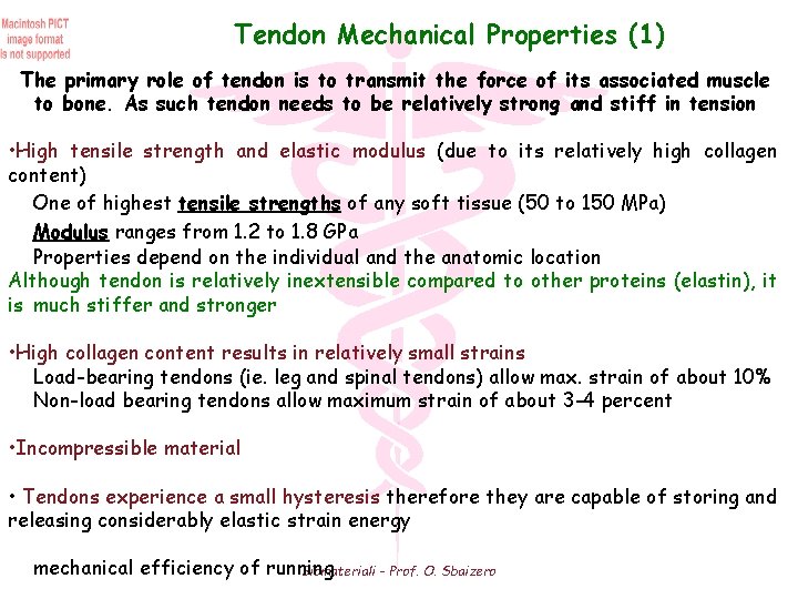 Tendon Mechanical Properties (1) The primary role of tendon is to transmit the force