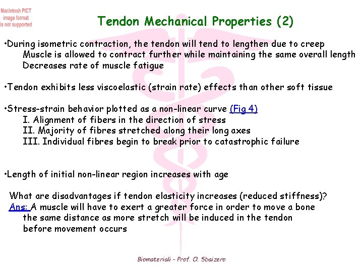Tendon Mechanical Properties (2) • During isometric contraction, the tendon will tend to lengthen