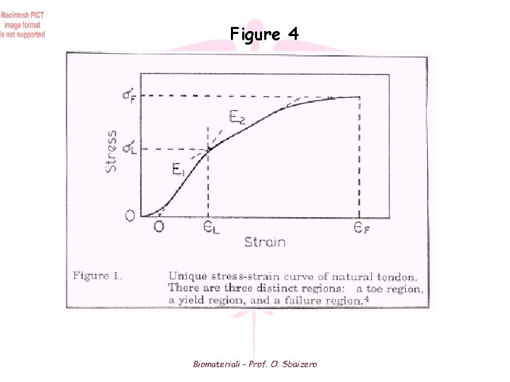 Figure 4 Biomateriali - Prof. O. Sbaizero 
