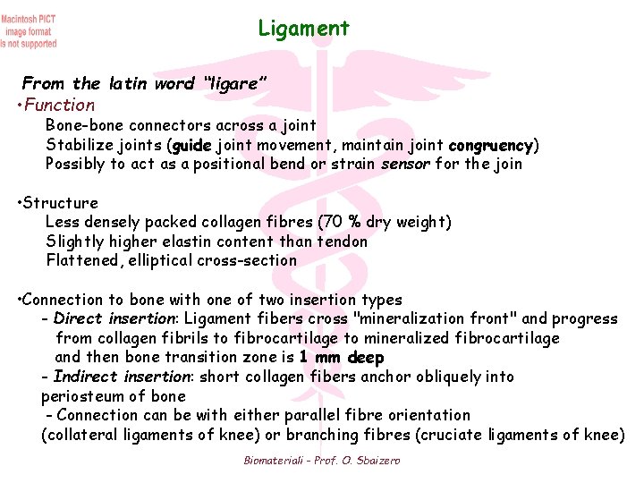 Ligament From the latin word “ligare” • Function Bone-bone connectors across a joint Stabilize