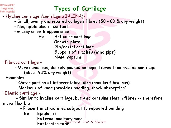 Types of Cartilage • Hyaline cartilage /cartilagine IALINA)- - Small, evenly distributed collagen fibres