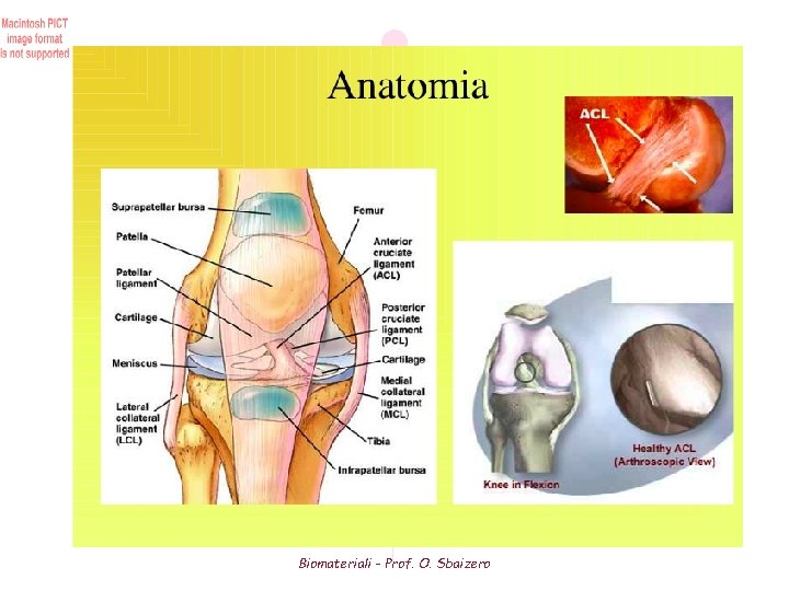 Biomateriali - Prof. O. Sbaizero 