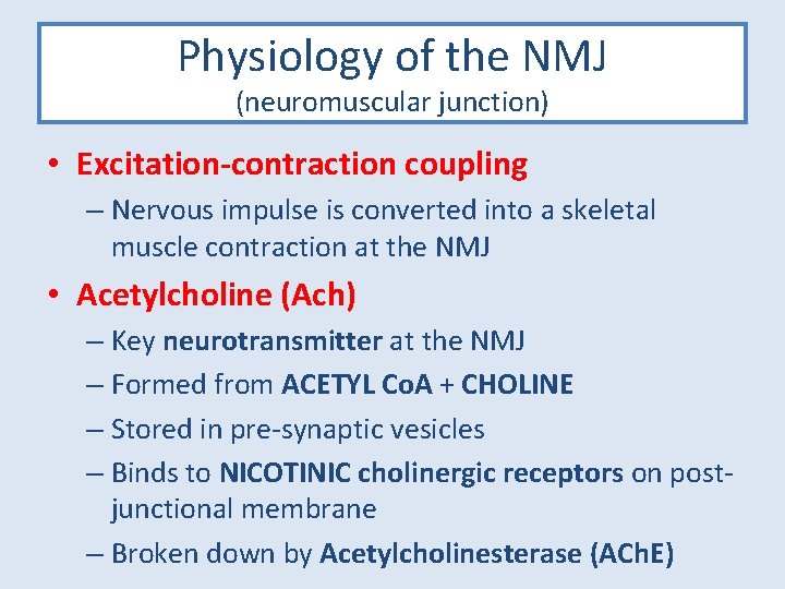 Physiology of the NMJ (neuromuscular junction) • Excitation-contraction coupling – Nervous impulse is converted