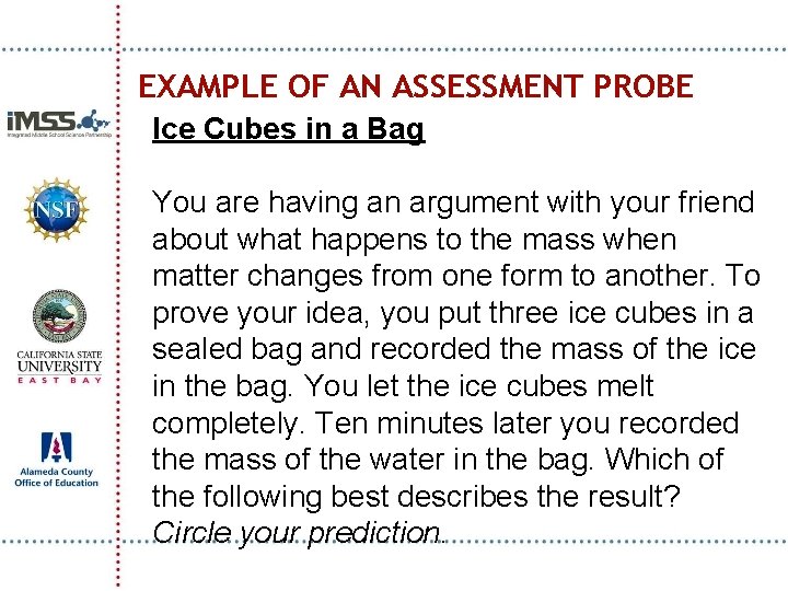 EXAMPLE OF AN ASSESSMENT PROBE Ice Cubes in a Bag You are having an