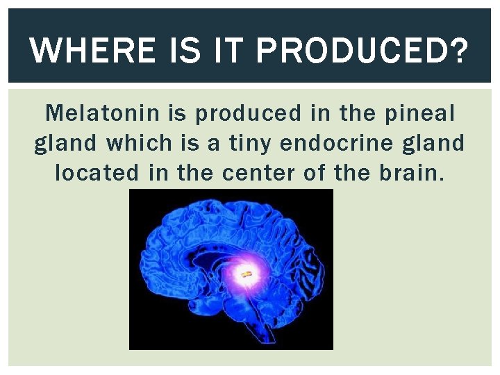 WHERE IS IT PRODUCED? Melatonin is produced in the pineal gland which is a