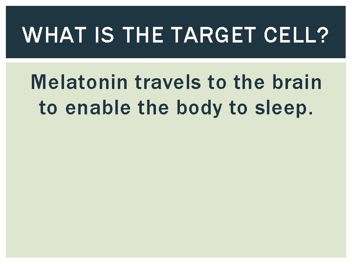 WHAT IS THE TARGET CELL? Melatonin travels to the brain to enable the body