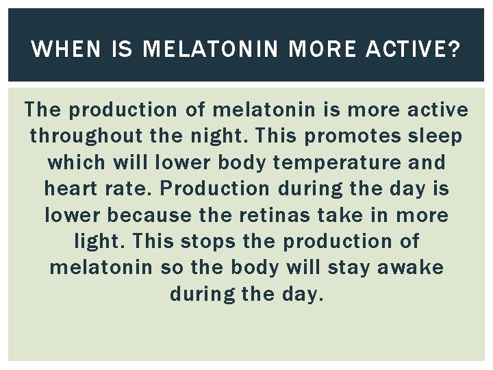 WHEN IS MELATONIN MORE ACTIVE? The production of melatonin is more active throughout the