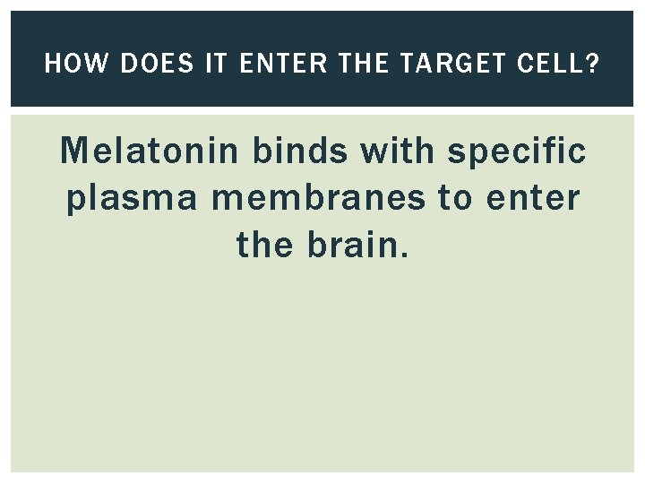 HOW DOES IT ENTER THE TARGET CELL? Melatonin binds with specific plasma membranes to