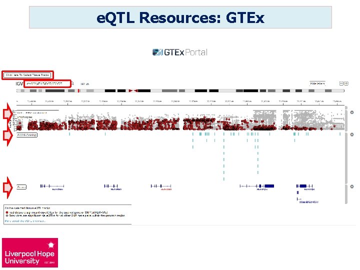 e. QTL Resources: GTEx 