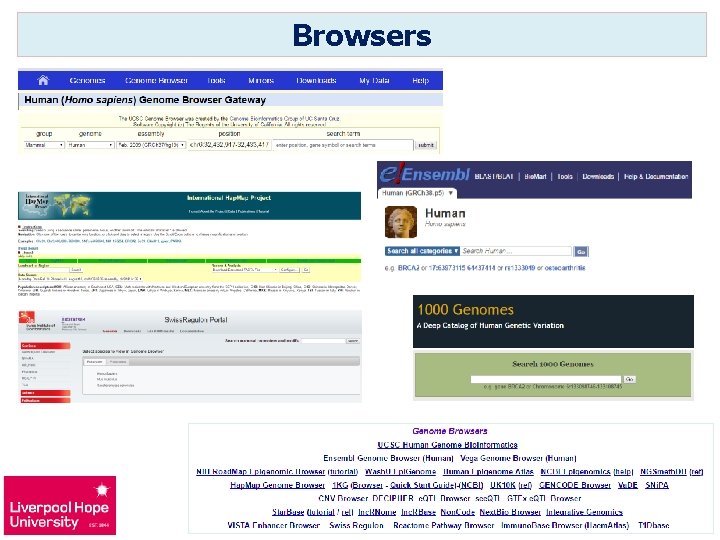 Browsers 
