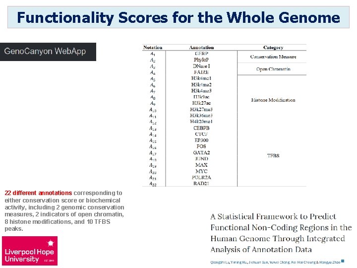 Functionality Scores for the Whole Genome 22 different annotations corresponding to either conservation score