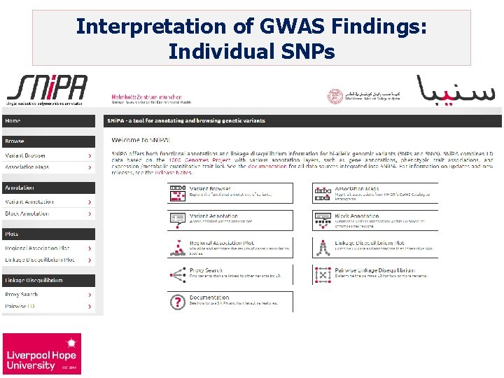 Interpretation of GWAS Findings: Individual SNPs 