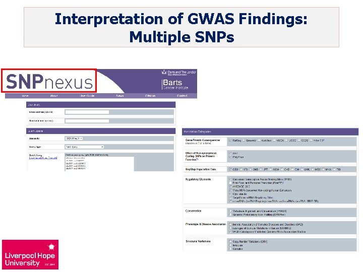 Interpretation of GWAS Findings: Multiple SNPs 