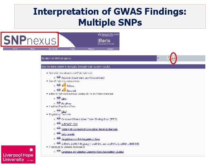 Interpretation of GWAS Findings: Multiple SNPs 