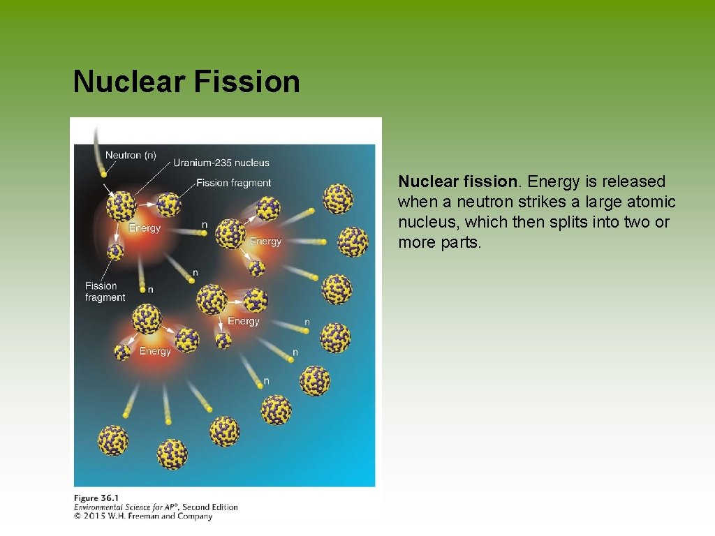 Nuclear Fission Nuclear fission. Energy is released when a neutron strikes a large atomic