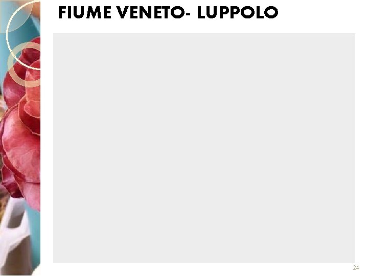 FIUME VENETO- LUPPOLO 24 