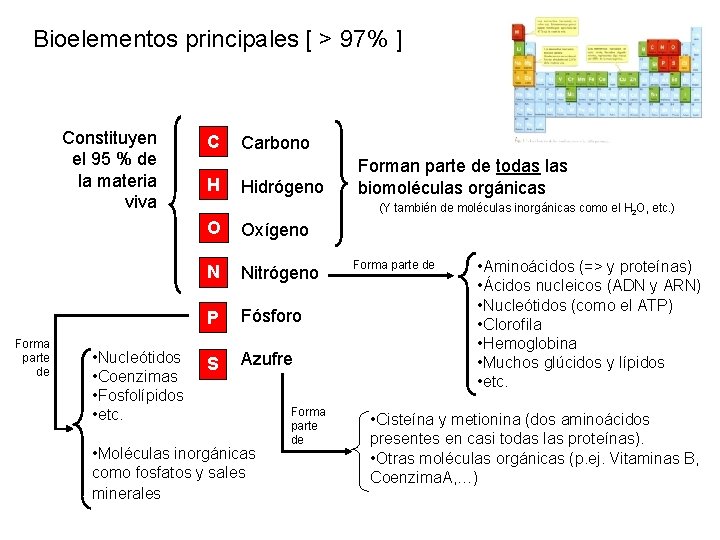 Bioelementos principales [ > 97% ] Constituyen el 95 % de la materia viva