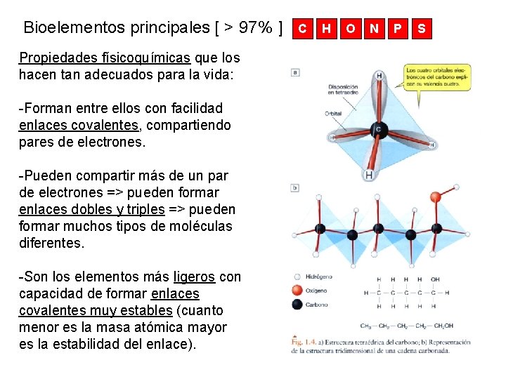 Bioelementos principales [ > 97% ] Propiedades físicoquímicas que los hacen tan adecuados para