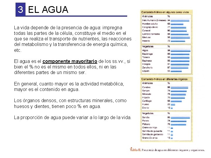 3 EL AGUA La vida depende de la presencia de agua: impregna todas las