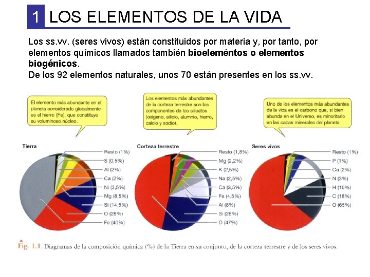 1 LOS ELEMENTOS DE LA VIDA Los ss. vv. (seres vivos) están constituidos por