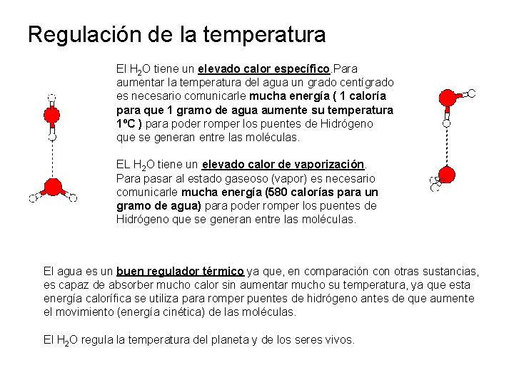 Regulación de la temperatura El H 2 O tiene un elevado calor específico. Para