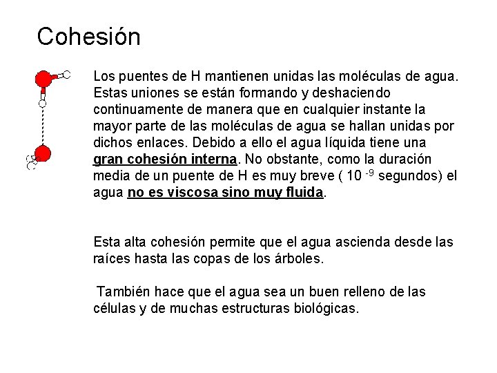 Cohesión Los puentes de H mantienen unidas las moléculas de agua. Estas uniones se