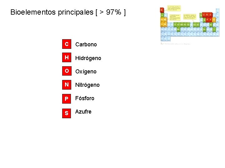 Bioelementos principales [ > 97% ] C Carbono H Hidrógeno O Oxígeno N Nitrógeno