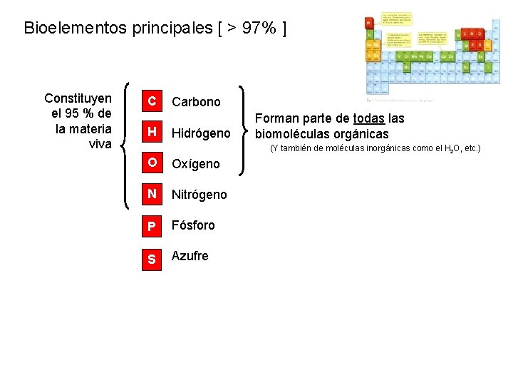 Bioelementos principales [ > 97% ] Constituyen el 95 % de la materia viva