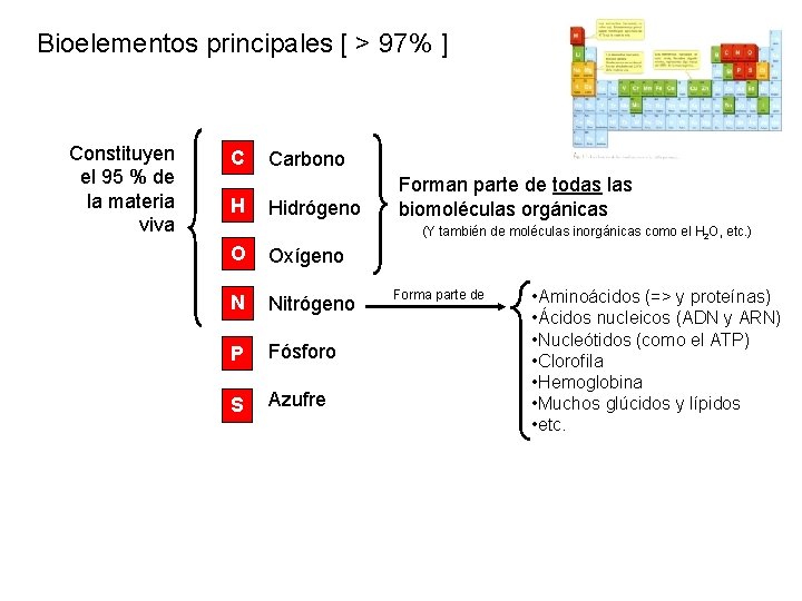 Bioelementos principales [ > 97% ] Constituyen el 95 % de la materia viva