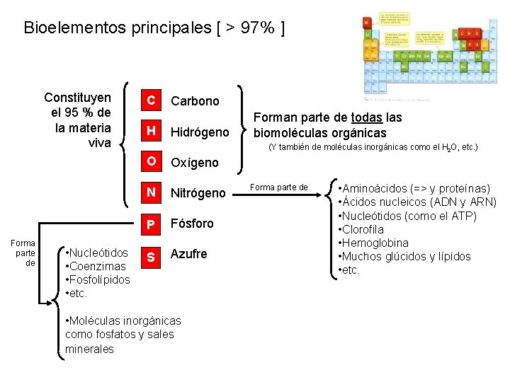 Bioelementos principales [ > 97% ] Constituyen el 95 % de la materia viva