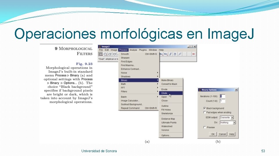 Operaciones morfológicas en Image. J Universidad de Sonora 53 