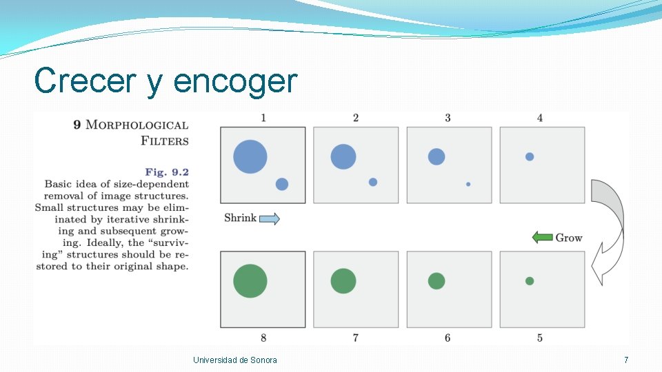 Crecer y encoger Universidad de Sonora 7 