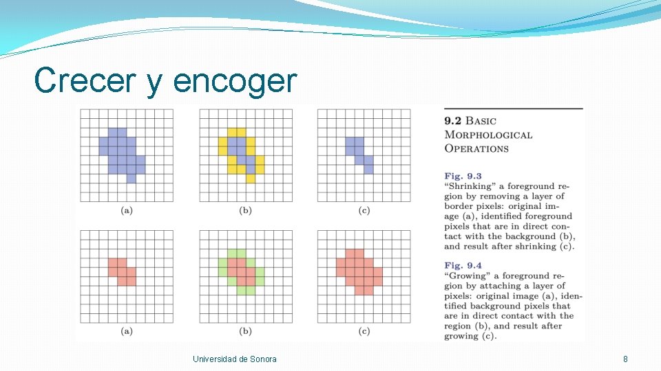 Crecer y encoger Universidad de Sonora 8 